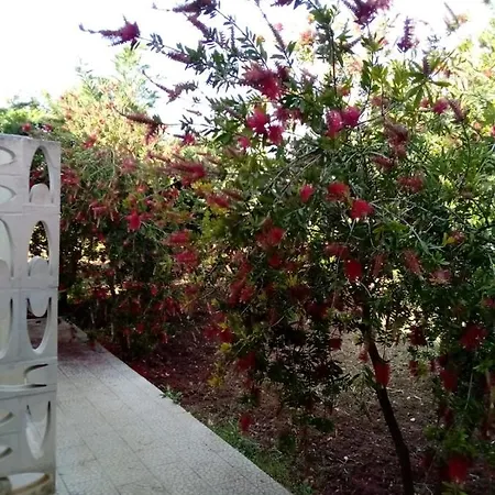 Semesterbostad Grazia Vieste