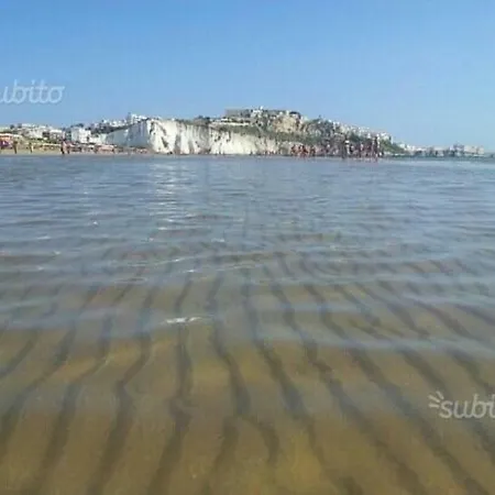 Grazia * 비에스테